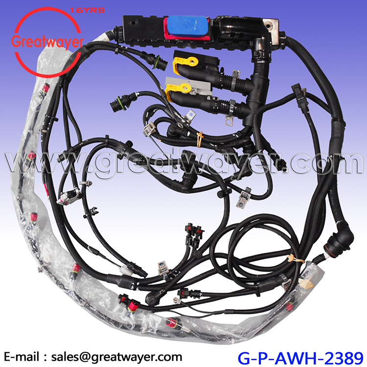 22279234 Heavy Truck D11C Engine Wire Harness - 江西雷格威发动机线束有限公司